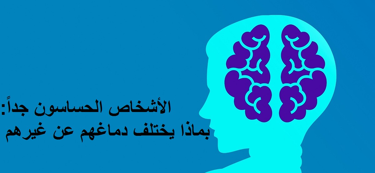 دماغ الأشخاص الحساسون